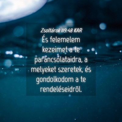 Picture 04 - Zsoltárok 119:48 KAR - És felemelem kezeimet a te parancsolataidra, a - Bible Verse Picture