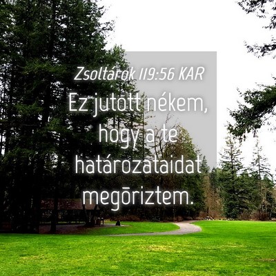 Picture 04 - Zsoltárok 119:56 KAR - Ez jutott nékem, hogy a te határozataidat - Bible Verse Picture