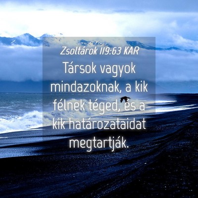 Picture 04 - Zsoltárok 119:63 KAR - Társok vagyok mindazoknak, a kik félnek téged, - Bible Verse Picture