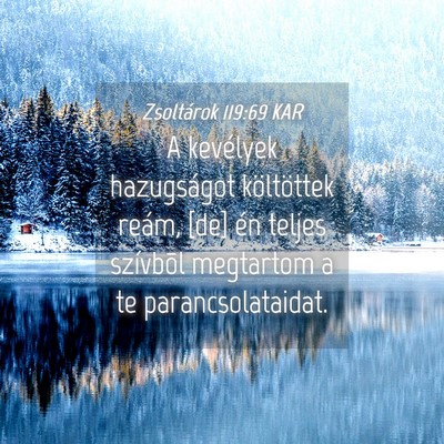 Picture 04 - Zsoltárok 119:69 KAR - A kevélyek hazugságot költöttek reám, [de] - Bible Verse Picture