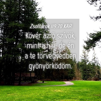 Picture 04 - Zsoltárok 119:70 KAR - Kövér az õ szívök, mint a háj; de én a te - Bible Verse Picture