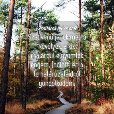 Picture 04 - Zsoltárok 119:78 KAR - Szégyenüljenek meg a kevélyek, a kik - Bible Verse Picture
