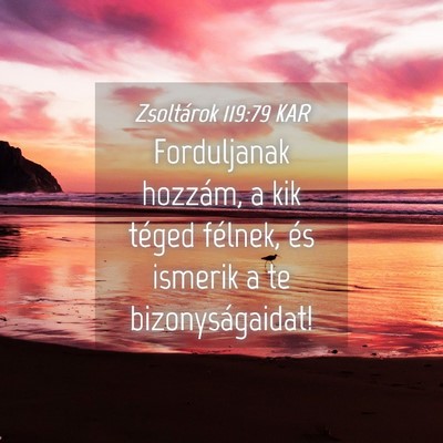Picture 04 - Zsoltárok 119:79 KAR - Forduljanak hozzám, a kik téged félnek, és - Bible Verse Picture