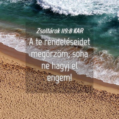 Picture 04 - Zsoltárok 119:8 KAR - A te rendeléseidet megõrzöm; soha ne hagyj el - Bible Verse Picture