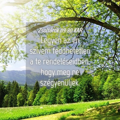 Picture 04 - Zsoltárok 119:80 KAR - Legyen az én szívem feddhetetlen a te - Bible Verse Picture