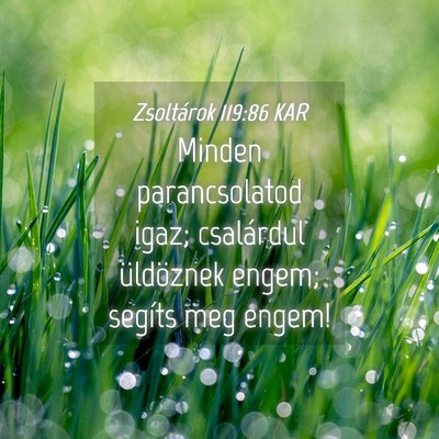 Picture 04 - Zsoltárok 119:86 KAR - Minden parancsolatod igaz; csalárdul üldöznek - Bible Verse Picture
