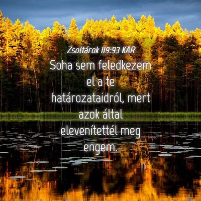 Picture 04 - Zsoltárok 119:93 KAR - Soha sem feledkezem el a te határozataidról, - Bible Verse Picture