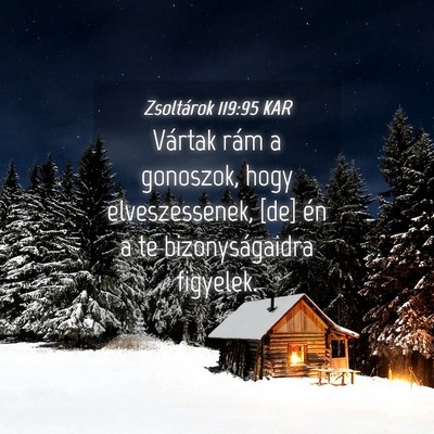 Picture 04 - Zsoltárok 119:95 KAR - Vártak rám a gonoszok, hogy elveszessenek, [de] - Bible Verse Picture