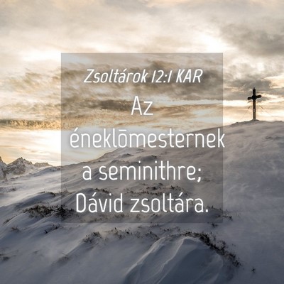 Picture 04 - Zsoltárok 12:1 KAR - Az éneklõmesternek a seminithre; Dávid - Bible Verse Picture