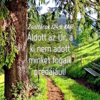 Picture 04 - Zsoltárok 124:6 KAR - Áldott az Úr, a ki nem adott minket fogaik - Bible Verse Picture