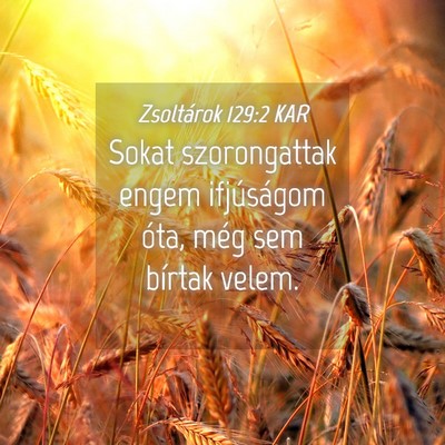 Picture 04 - Zsoltárok 129:2 KAR - Sokat szorongattak engem ifjúságom óta, még - Bible Verse Picture