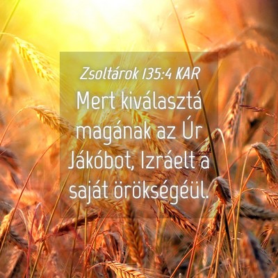 Picture 04 - Zsoltárok 135:4 KAR - Mert kiválasztá magának az Úr Jákóbot, - Bible Verse Picture