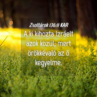 Picture 04 - Zsoltárok 136:11 KAR - A ki kihozta Izráelt azok közül; mert - Bible Verse Picture