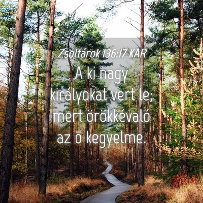 Picture 04 - Zsoltárok 136:17 KAR - A ki nagy királyokat vert le; mert - Bible Verse Picture