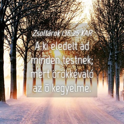 Picture 04 - Zsoltárok 136:25 KAR - A ki eledelt ad minden testnek; mert - Bible Verse Picture