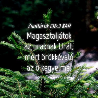 Picture 04 - Zsoltárok 136:3 KAR - Magasztaljátok az uraknak Urát; mert - Bible Verse Picture
