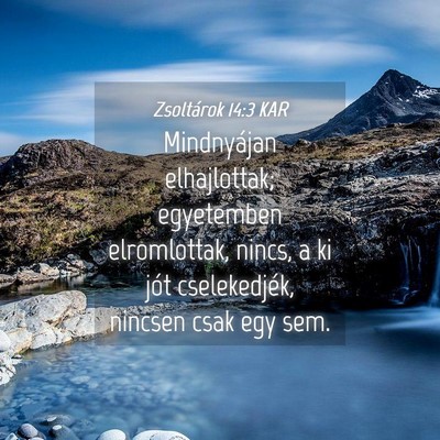 Picture 04 - Zsoltárok 14:3 KAR - Mindnyájan elhajlottak; egyetemben elromlottak, - Bible Verse Picture