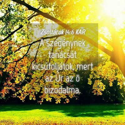 Picture 04 - Zsoltárok 14:6 KAR - A szegénynek tanácsát kicsúfoljátok, mert az - Bible Verse Picture