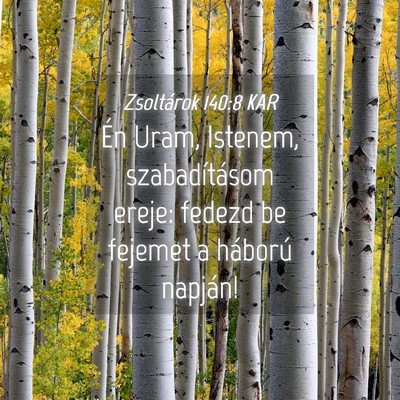 Picture 04 - Zsoltárok 140:8 KAR - Én Uram, Istenem, szabadításom ereje: fedezd - Bible Verse Picture