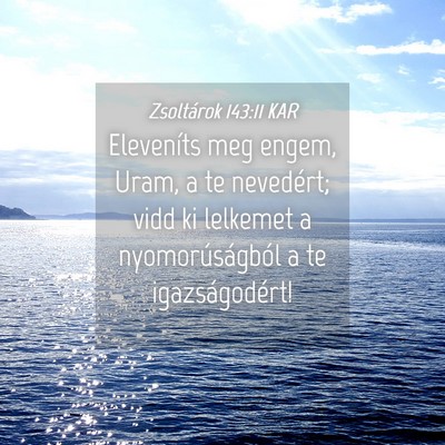 Picture 04 - Zsoltárok 143:11 KAR - Eleveníts meg engem, Uram, a te nevedért; vidd - Bible Verse Picture