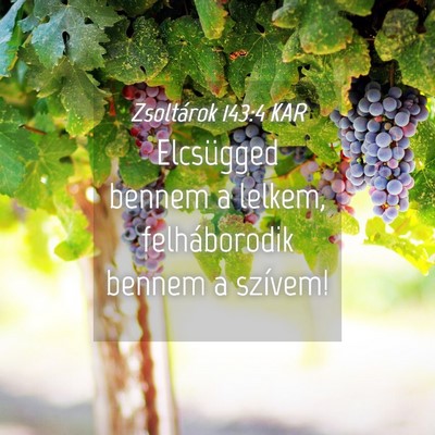 Picture 04 - Zsoltárok 143:4 KAR - Elcsügged bennem a lelkem, felháborodik bennem - Bible Verse Picture