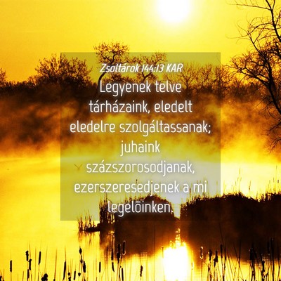 Picture 04 - Zsoltárok 144:13 KAR - Legyenek telve tárházaink, eledelt eledelre - Bible Verse Picture