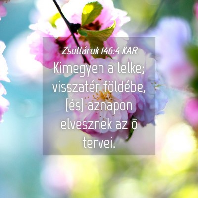 Picture 04 - Zsoltárok 146:4 KAR - Kimegyen a lelke; visszatér földébe, [és] - Bible Verse Picture