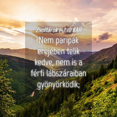 Picture 04 - Zsoltárok 147:10 KAR - Nem paripák erejében telik kedve, nem is a - Bible Verse Picture