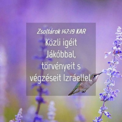 Picture 04 - Zsoltárok 147:19 KAR - Közli igéit Jákóbbal, törvényeit s - Bible Verse Picture