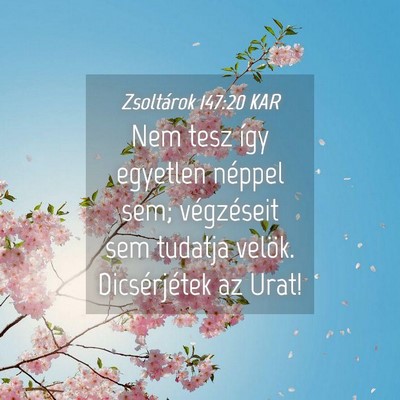 Picture 04 - Zsoltárok 147:20 KAR - Nem tesz így egyetlen néppel sem; végzéseit - Bible Verse Picture