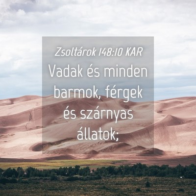 Picture 04 - Zsoltárok 148:10 KAR - Vadak és minden barmok, férgek és szárnyas - Bible Verse Picture
