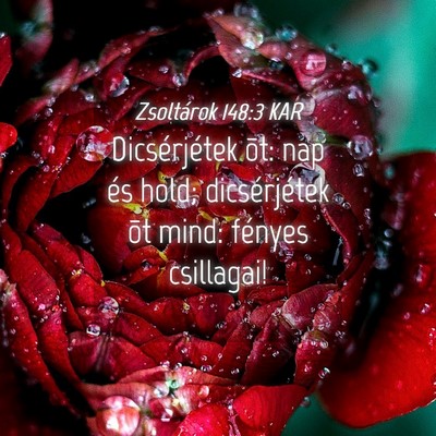 Picture 04 - Zsoltárok 148:3 KAR - Dicsérjétek õt: nap és hold; dicsérjétek - Bible Verse Picture
