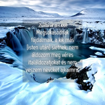 Picture 04 - Zsoltárok 16:4 KAR - Megsokasodnak fájdalmaik, a kik más [isten - Bible Verse Picture