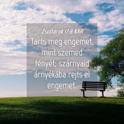 Picture 04 - Zsoltárok 17:8 KAR - Tarts meg engemet, mint szemed fényét; - Bible Verse Picture