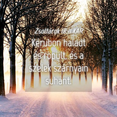 Picture 04 - Zsoltárok 18:11 KAR - Kérubon haladt és röpült, és a szelek - Bible Verse Picture