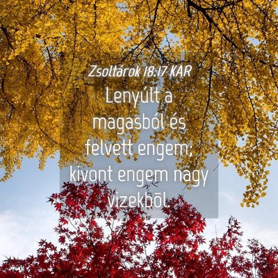 Picture 04 - Zsoltárok 18:17 KAR - Lenyúlt a magasból és felvett engem; kivont - Bible Verse Picture