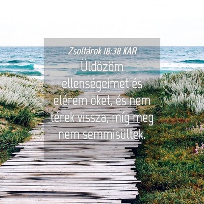 Picture 04 - Zsoltárok 18:38 KAR - Üldözöm ellenségeimet és elérem õket, és - Bible Verse Picture