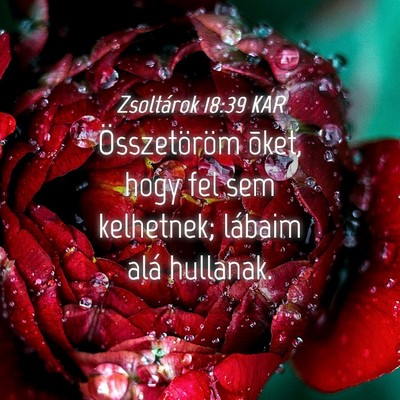 Picture 04 - Zsoltárok 18:39 KAR - Összetöröm õket, hogy fel sem kelhetnek; - Bible Verse Picture