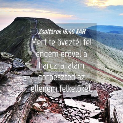 Picture 04 - Zsoltárok 18:40 KAR - Mert te öveztél fel engem erõvel a harczra, - Bible Verse Picture