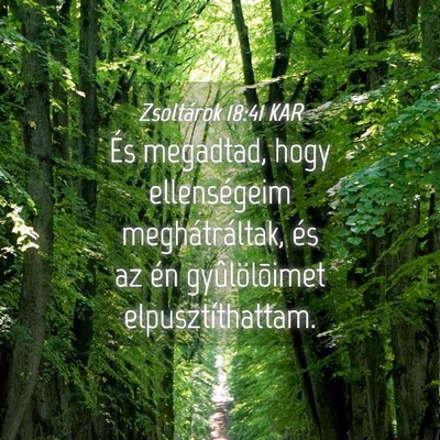 Picture 04 - Zsoltárok 18:41 KAR - És megadtad, hogy ellenségeim meghátráltak, - Bible Verse Picture