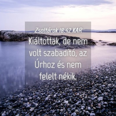 Picture 04 - Zsoltárok 18:42 KAR - Kiáltottak, de nem volt szabadító, az Úrhoz - Bible Verse Picture