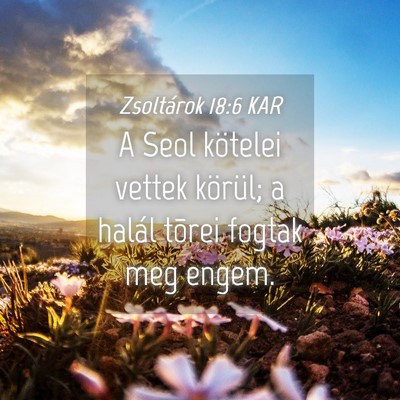 Picture 04 - Zsoltárok 18:6 KAR - A Seol kötelei vettek körül; a halál tõrei - Bible Verse Picture