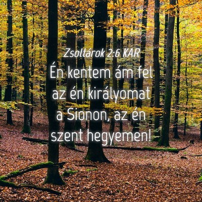 Picture 04 - Zsoltárok 2:6 KAR - Én kentem ám fel az én királyomat a Sionon, - Bible Verse Picture