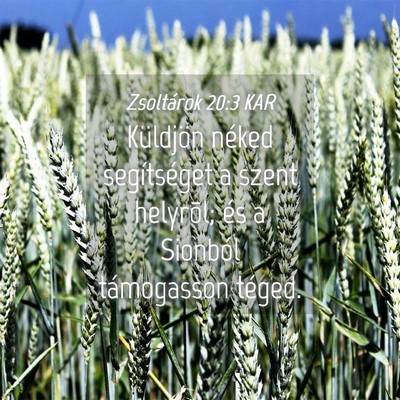 Picture 04 - Zsoltárok 20:3 KAR - Küldjön néked segítséget a szent helyrõl; - Bible Verse Picture