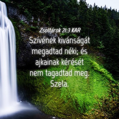 Picture 04 - Zsoltárok 21:3 KAR - Szívének kivánságát megadtad néki; és - Bible Verse Picture