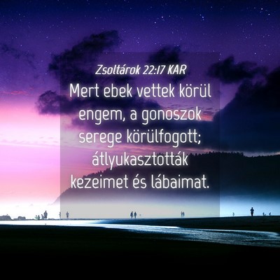 Picture 04 - Zsoltárok 22:17 KAR - Mert ebek vettek körül engem, a gonoszok serege - Bible Verse Picture