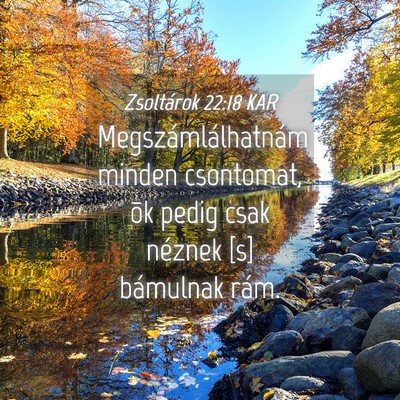 Picture 04 - Zsoltárok 22:18 KAR - Megszámlálhatnám minden csontomat, õk pedig - Bible Verse Picture