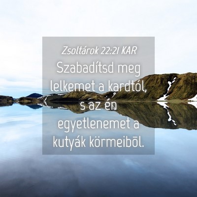 Picture 04 - Zsoltárok 22:21 KAR - Szabadítsd meg lelkemet a kardtól, s az én - Bible Verse Picture