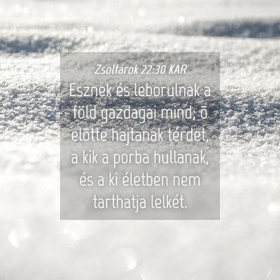 Picture 04 - Zsoltárok 22:30 KAR - Esznek és leborulnak a föld gazdagai mind; õ - Bible Verse Picture