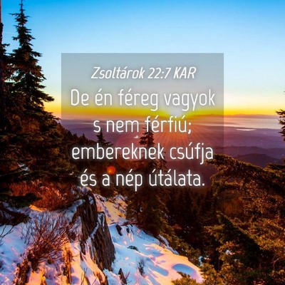 Picture 04 - Zsoltárok 22:7 KAR - De én féreg vagyok s nem férfiú; embereknek - Bible Verse Picture